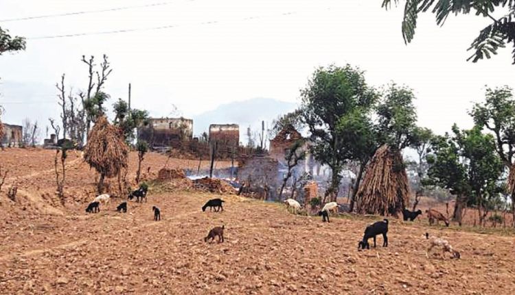 आगलागीमा जलेर ११ घर नष्ट