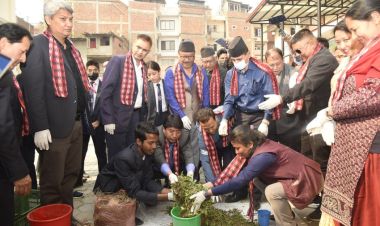 विद्यालयबाट उत्पादन भएको जैविक फोहोरलाई काठमाडौँ महानगरले आजदेखि कम्पोष्टिङ् गर्दै 