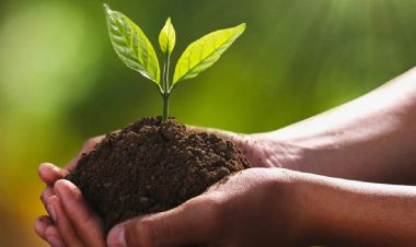 आज जैविक विविधता दिवस, विभिन्न कार्यक्रम गरि मनाइँदै