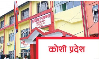 कोशी प्रदेशसभाको बजेट अधिवेशन सुरु हुँदै, प्रदेश सभा घेर्ने पहिचानवादीको तयारी