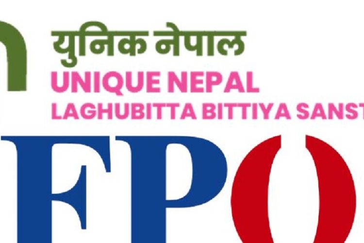 युनिक नेपाल लघुवित्तको एफपीओ आज बाँडफाँट
