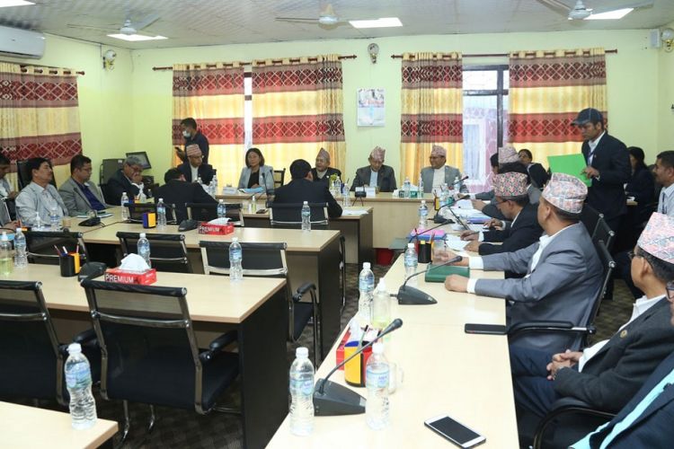सुनुवाइ समिति बैठक :  प्रस्तावित प्रधानन्यायाधीश कार्कीले पेस गरे कार्ययोजना, भोलि सवालजवाफ