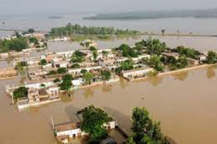 पाकिस्तानमा भारी वर्षा :७ जनाको मृत्यु