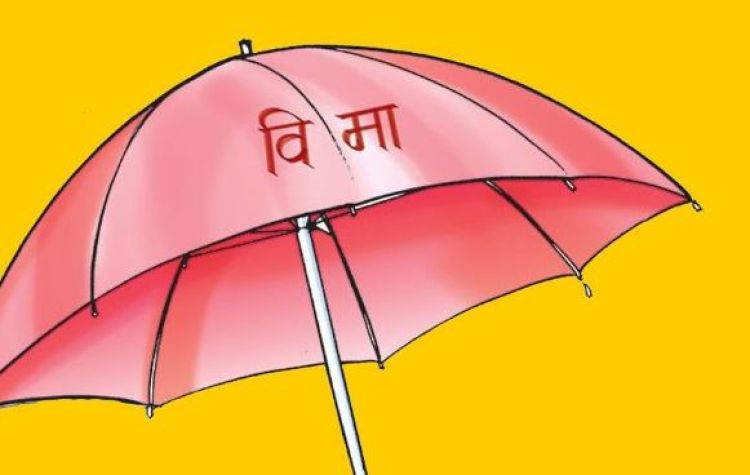 पैसा पाउने सहमतिपछि कृषि बिमालेख बिक्री पुनः सुरु
