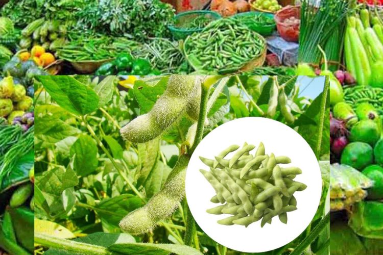 यस्तो छ, आजको फलफूल तथा तरकारी मूल्य, भटमास कोशा १०६ रुपैयाँ