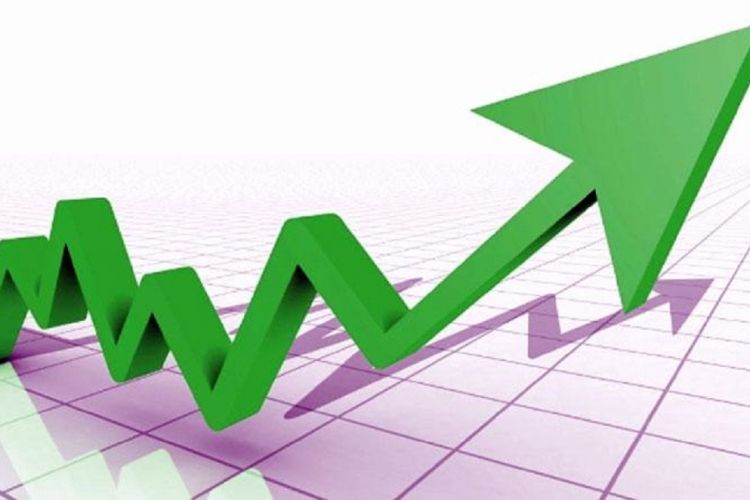 प्रि–ओपन सेसनमा ३.९९ अंकले बढ्यो नेप्से सूचक
