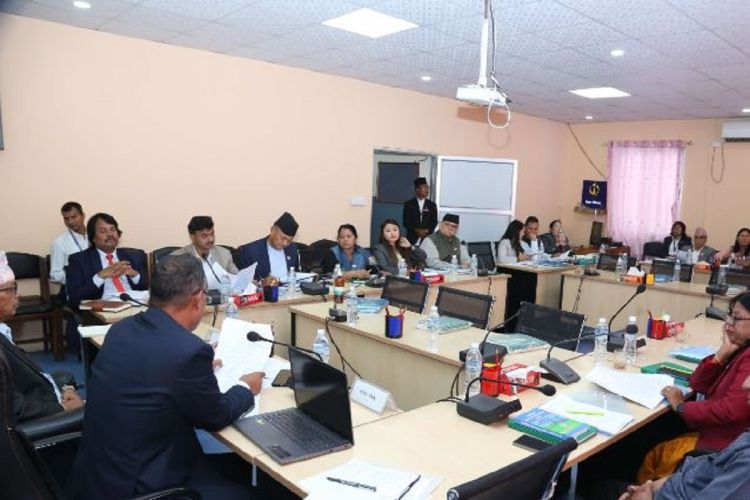 प्रतिनिधिसभाका तीन समितिको बैठक बस्दै, यस्तो छ कार्यसुची