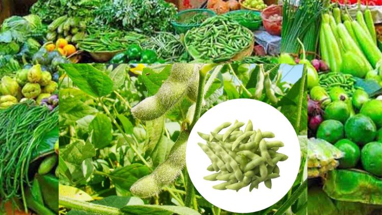 यस्तो छ, आजको फलफूल तथा तरकारी मूल्य, भटमास कोशा १०६ रुपैयाँ