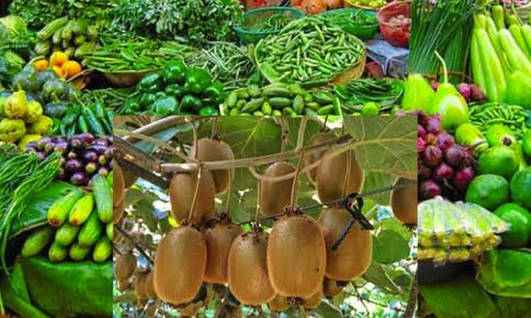फलफूल तथा तरकारीको मूल्य, किवि प्रतिकेजी ८५० रुपैयाँ