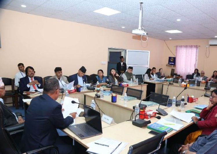 प्रतिनिधिसभाका तीन समितिको बैठक बस्दै, यस्तो छ कार्यसुची