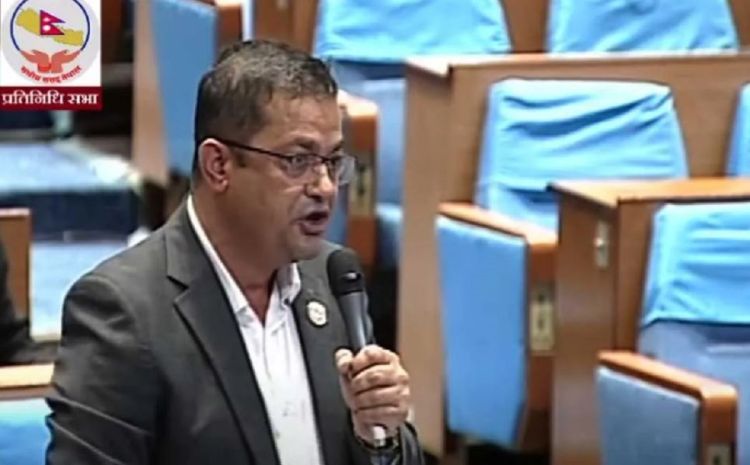 सुनतस्करी छानबिन गर्न उच्चस्तरीय समिति गठन गर्नुपर्छ : पदम गिरी