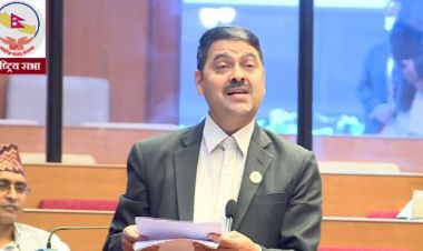 सुन प्रकरणको छानबिनका लागि उच्चस्तरीय समिति गठन गर्नुपर्छ : सांसद देवकोटा