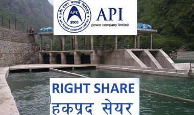 आजदेखि अपि पावर कम्पनीको हकप्रद सेयर खुला