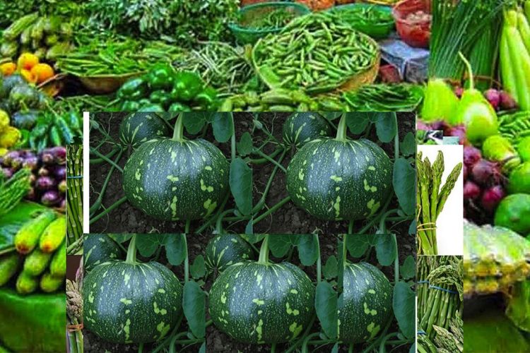 आजको तरकारी तथा फलफूलको मुल्य, हरियो फर्सी ६० रुपैयाँ
