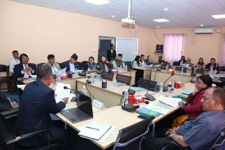 दुई संसदीय समितिको बैठक बस्दै, भावी सभापति बारे छलफल गरिने