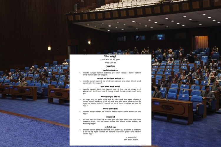 प्रतिनिधिसभा बैठक बस्दै, १० पटकसम्म अनुपस्थित सांसदको नाम सुनाइने