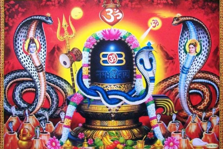 आज श्रावण शुक्लपक्ष अर्थात नागपञ्चमीः घर घरमा नाग टाँसिदै