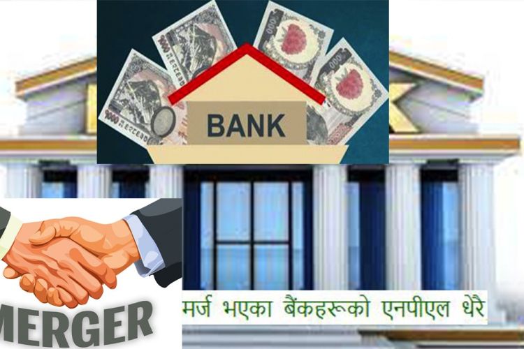 मर्ज भएका बैंकहरूको एनपीएल धेरै, कसको कति आयो ?