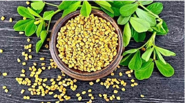 मेथि खानुका अचुक फाईदाहरु, एक पटक अवस्य पढ्नुहोला