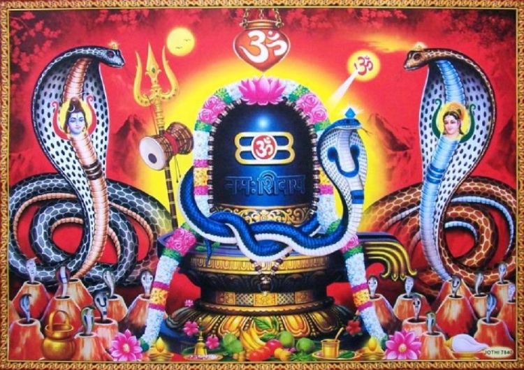 आज श्रावण शुक्लपक्ष अर्थात नागपञ्चमीः घर घरमा नाग टाँसिदै