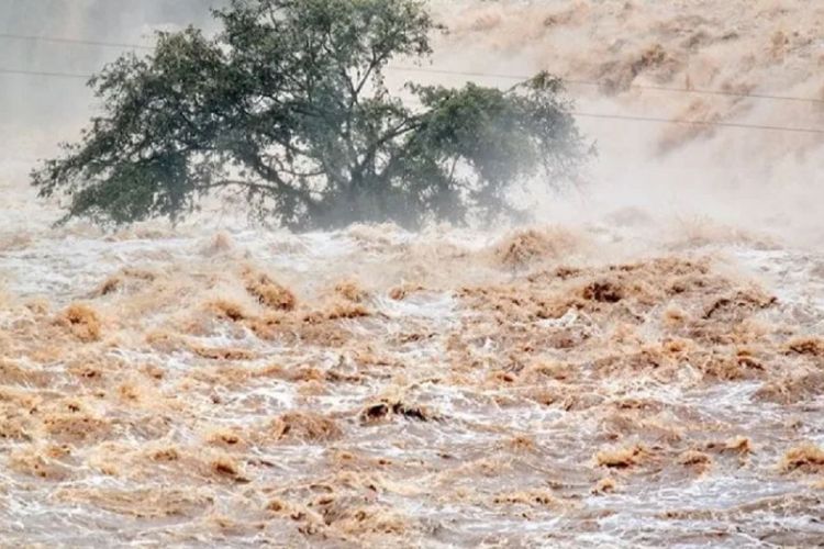 ब्राजिलमा चक्रावतका कारण अहिलेसम्म २१ जनाको मृत्यु