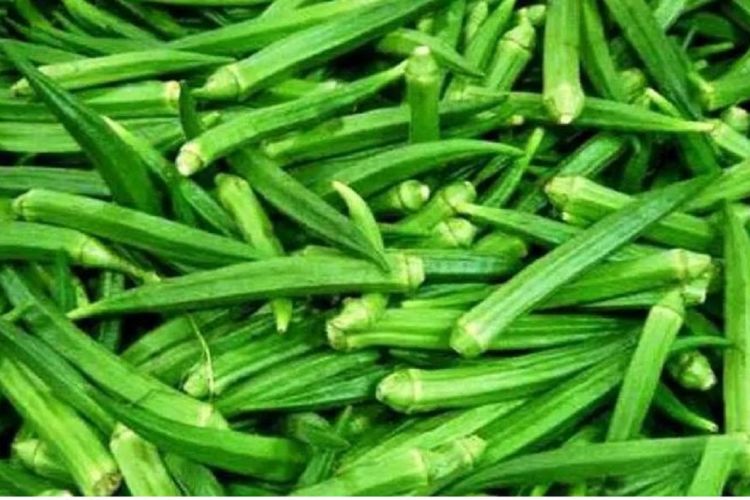 यस्ता छन् भिन्डी खानुका फाईदाहरु