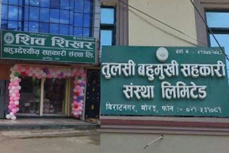 शिवशिखर र तुलसी बहुमुखी सहकारी समस्याग्रस्त घोषित  