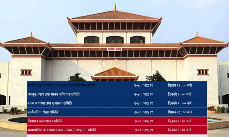 सक्रिय भए संसदीय समिति, आज मात्रै पाँचवटा समितिको बैठक