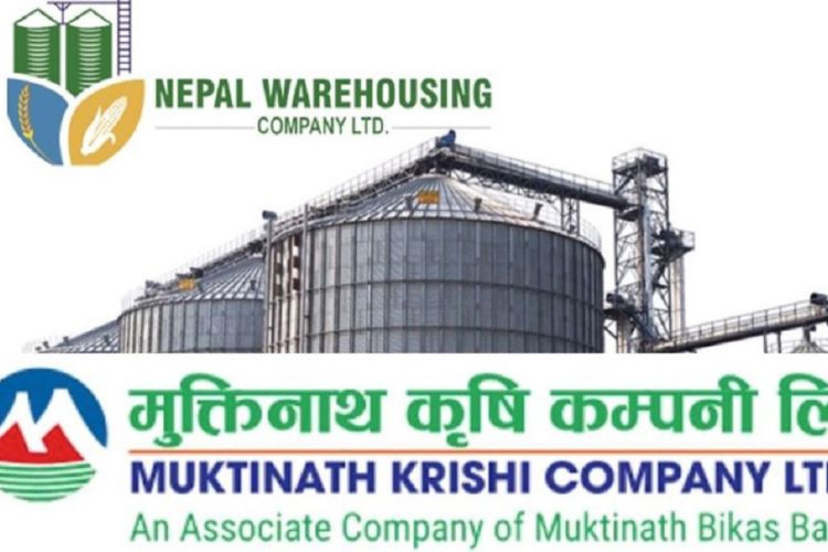 नेपाल वेयर हाउजिङ्ग र मुक्तिनाथ कृषि कम्पनीको आइपिओमा मागभन्दा अधिक आवेदन