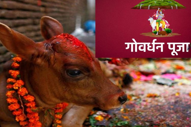 आज यमपञ्चक अर्थात् तिहारको चौथो दिन, गोर्वद्धन पर्वत र गोरुको पूजा गरिँदै