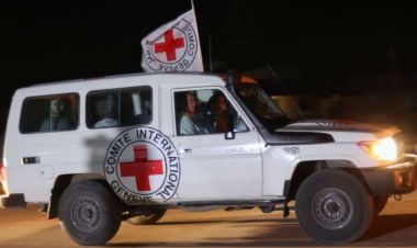 हमासको कब्जामा रहँदाको अनुभव, बेस्सरी भकुर्दै खान दिने