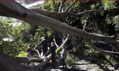 अर्जेन्टिनामा शक्तिशाली आँधी, १३ जनाको मृत्यु, विद्युत अवरुद्ध