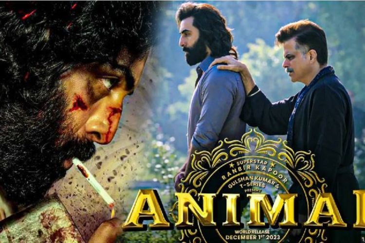    एनिमल’ बन्यो दशौं दिनमा दोस्रो सर्वाधिक कमाउने फिल्म
