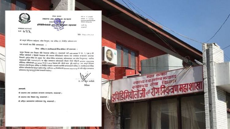कोरोना जोखिम बढ्दो, इपिडिमियोलोजी महाशाखाले सबै निकायसँग माग्यो दैनिक रिपोर्ट