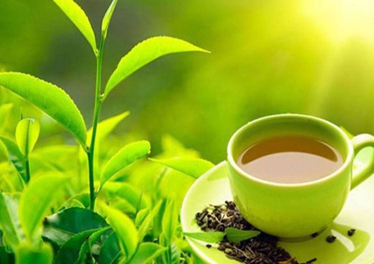 नेपालले ७ अर्ब रुपैयाँको चिया तथा कफी निर्यात गर्यो