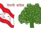  कांग्रेसको खर्चः महाधिवेशन गर्न १२ करोड, आमनिर्वाचनमा १ करोड १५ लाख
