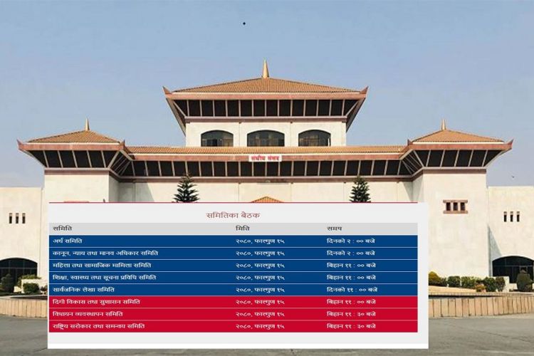 आज संघीय संसदका ८ समितिका बैठक एकैपटक बस्दै