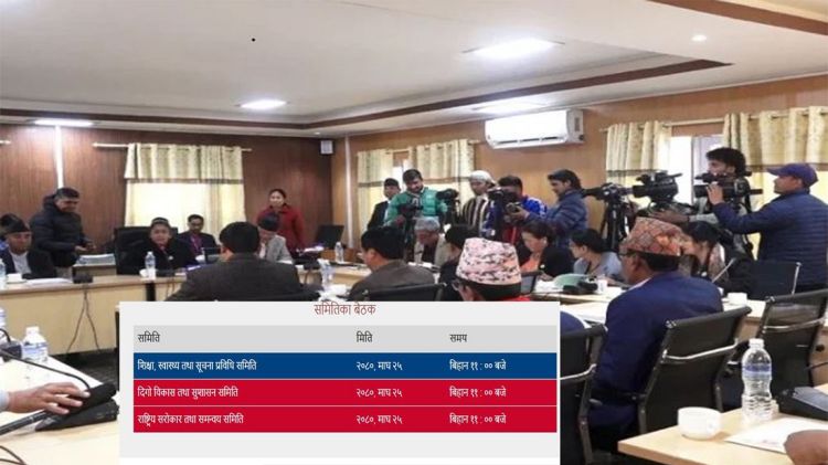 संङघीय संसदका तीन समितिको बैठक आज बस्दै, यस्तो छ कार्यसूची