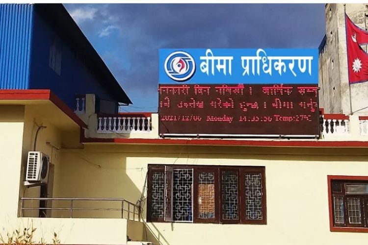 फागुनसम्ममा १२ जीवन बीमा कम्पनीले संकलन गरे पौने २ अर्ब प्रिमियम