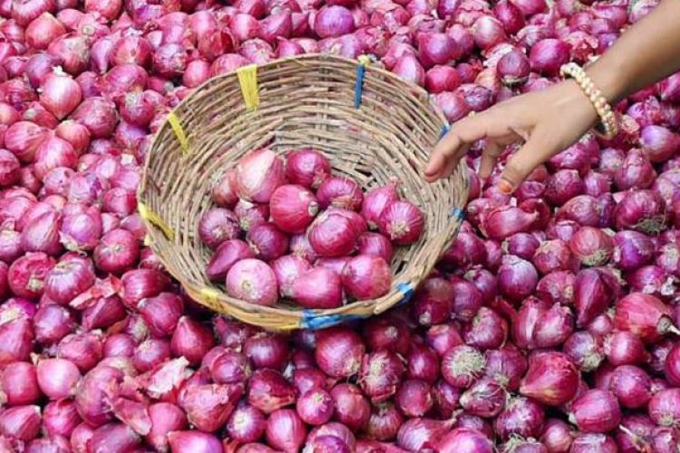  प्याज निर्यातमा भारतले लगायो अनिश्चितकालीन प्रतिबन्ध