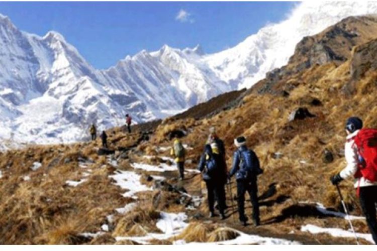  बसन्तऋतुको आगमनसँगै  कञ्चनजङ्घा क्षेत्रमा आउन थाले पर्यटक