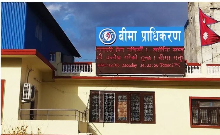 फागुनसम्ममा १२ जीवन बीमा कम्पनीले संकलन गरे पौने २ अर्ब प्रिमियम