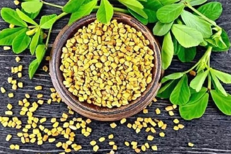 मेथि खानुका अचुक फाईदाहरु, एक पटक अवस्य पढ्नुहोला