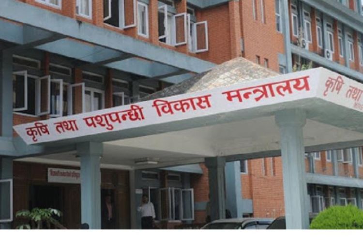 दुध किसानलाई भुक्तानी दिन कृषिमन्त्रालयद्वारा ६० करोड माग, पाउलान् त किसानले दुधको भुक्तानी ? 