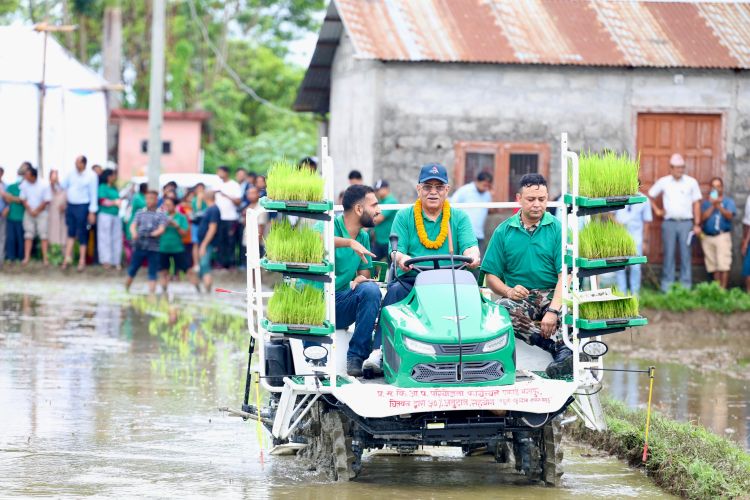 प्रधानमन्त्री दाहालले मेसिनबाट रोपे धान