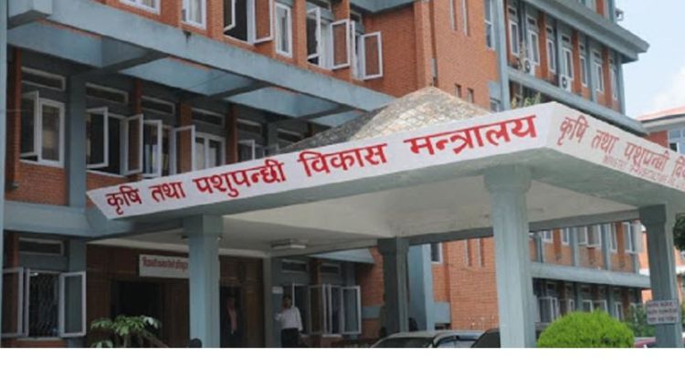 दुध किसानलाई भुक्तानी दिन कृषिमन्त्रालयद्वारा ६० करोड माग, पाउलान् त किसानले दुधको भुक्तानी ? 