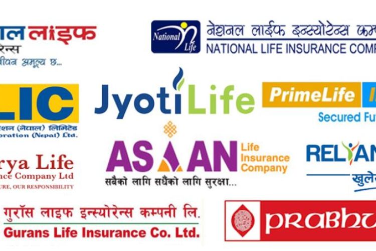 १४ वटा निर्जीवन बिमा कम्पनीको चुक्ता पुँजी २० अर्ब, कुनको कति ?
