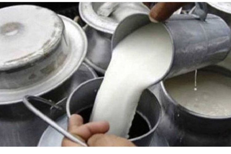 दूध उत्पादक किसानलाई प्रोत्साहनस्वरुप ४३ लाख अनुदान  वितरण