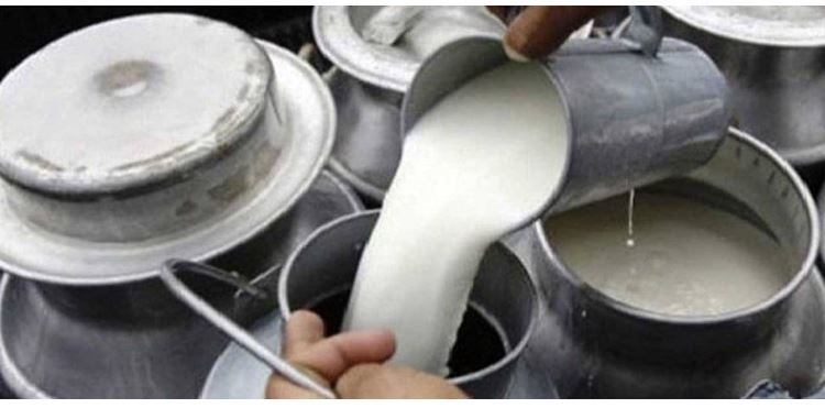 दूध उत्पादक किसानलाई प्रोत्साहनस्वरुप ४३ लाख अनुदान  वितरण