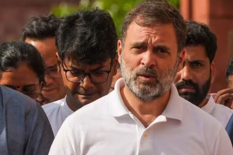 सेयरबाट मासिक १४ लाख भन्दा बढी कमाउँछन् राहुल गान्धी 